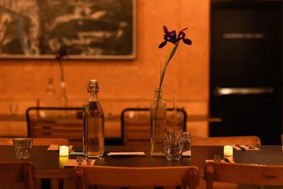 Long dining table set for a communal dinner with candlelight